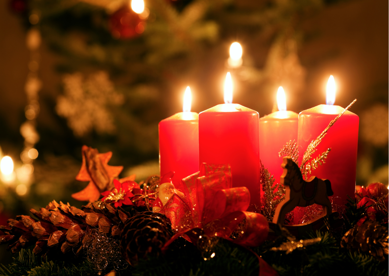 Ubytování v samém srdci Hradce Králové - Hotel Nové Adalbertinum